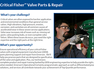 Critical Fisher™ Valve Parts & Repair