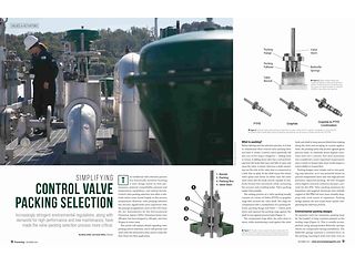 Simplifying Control Valve Packing Selection