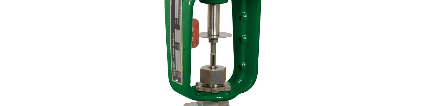 Baumann™ 24000F Wafer Body Control Valve