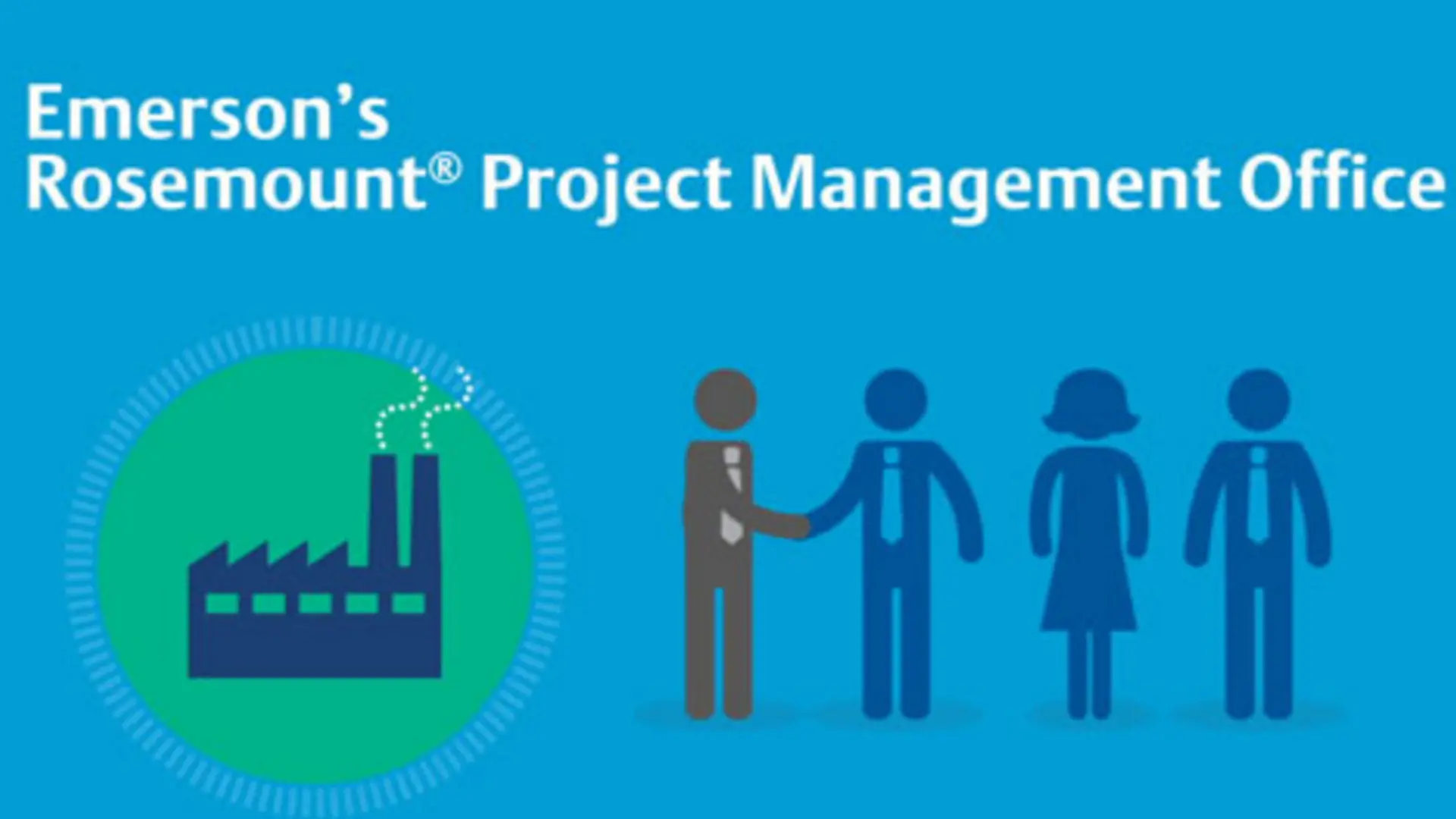 Project Management Services for Rosemount Instrumentation