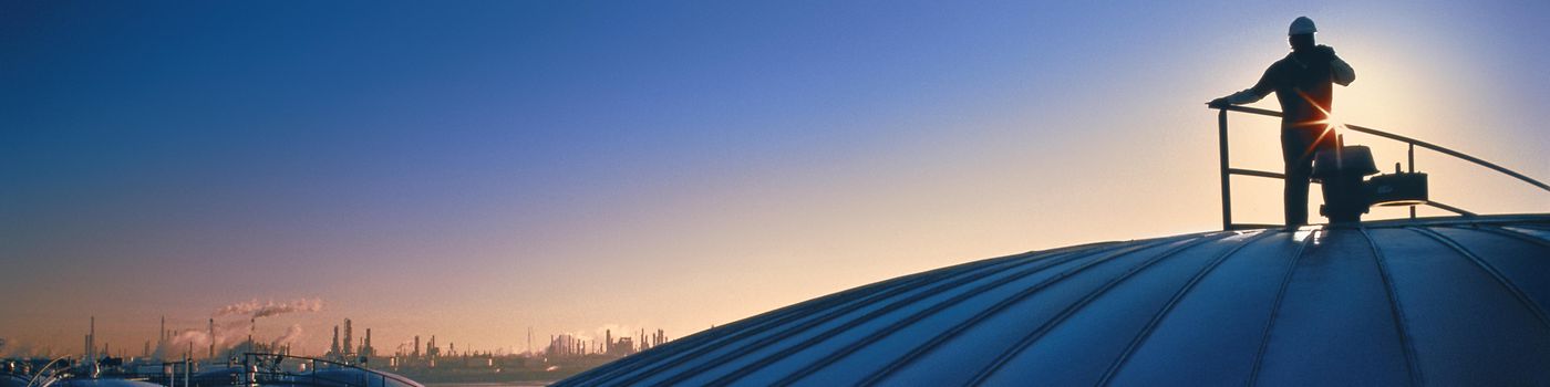 Ensure Plant & Personnel Safety and Security