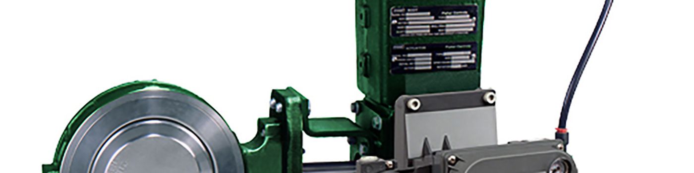 Fisher 8560 Control Valve