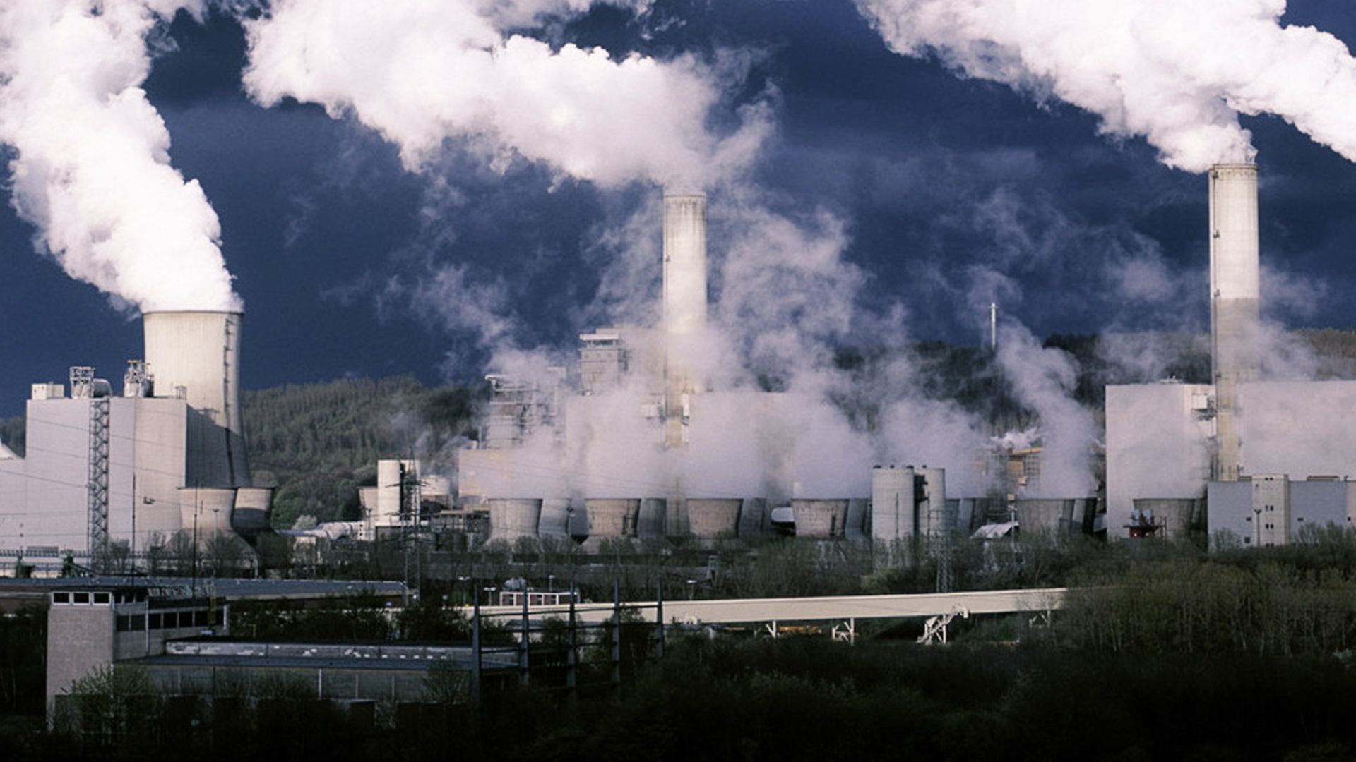 Flame and Gas Detection