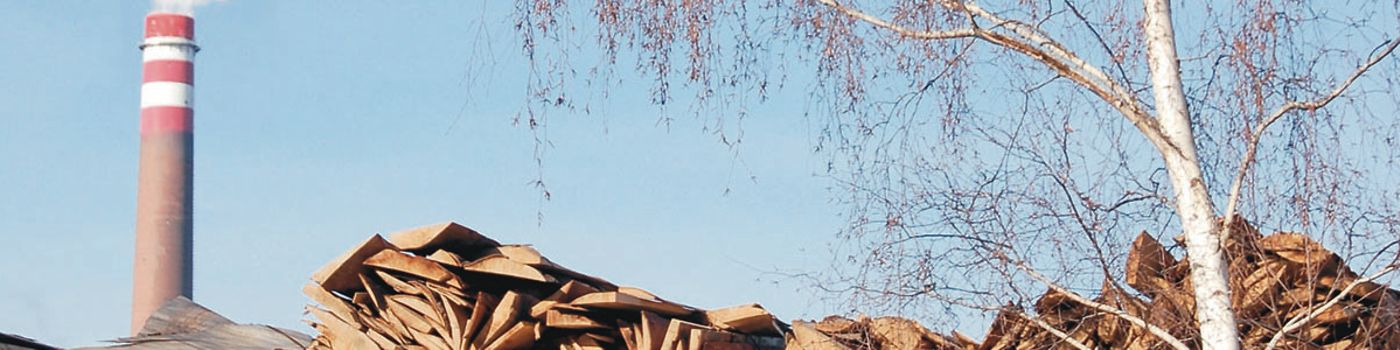 Biomass Boiler Control System