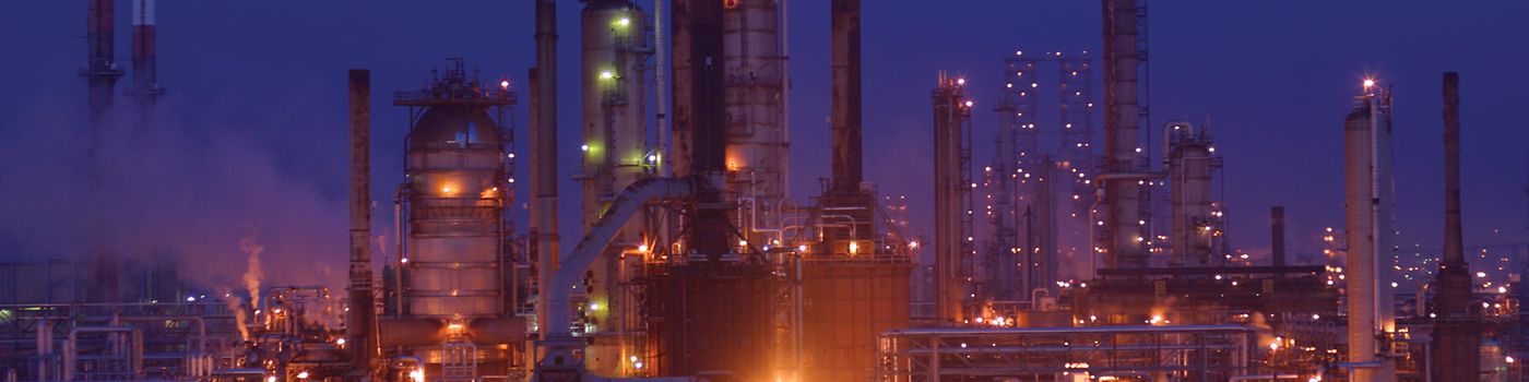 IND_REF_Plant-Night_001