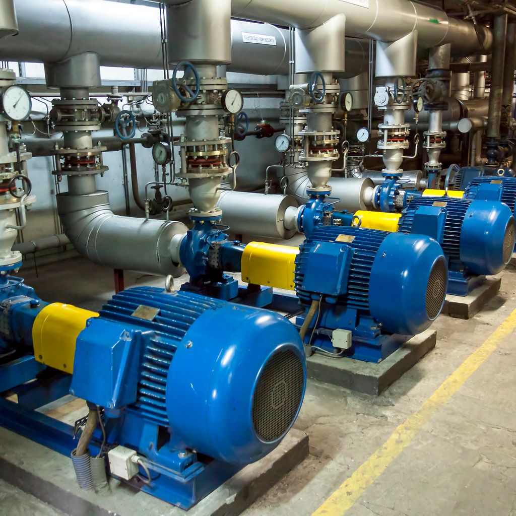 Pumps in Plant
