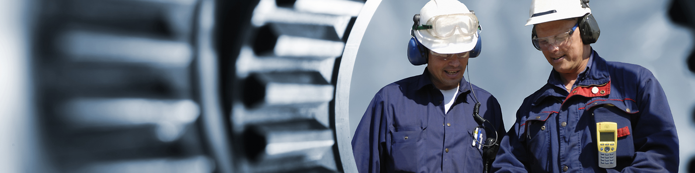 Lifecycle Services-Reliability