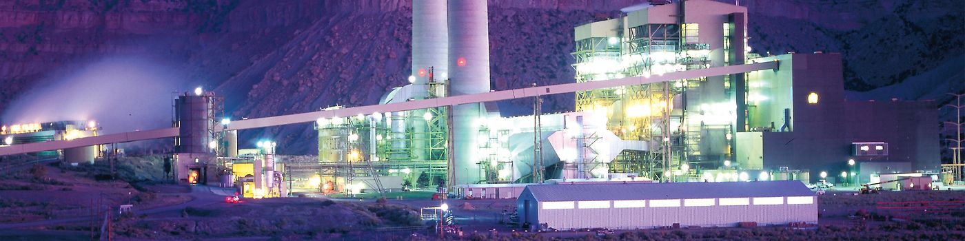 Applying Machinery Health to the Power Industry