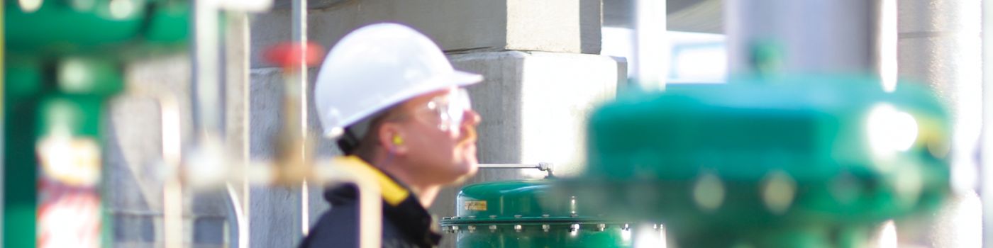 Beratungsservice – Lifecycle-Strategie