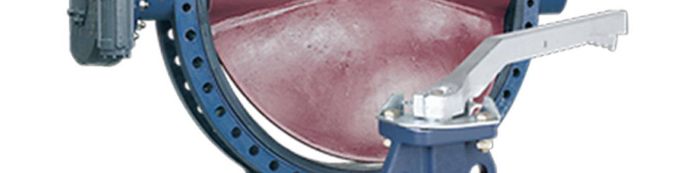 Model ParaSeal Butterfly Valves