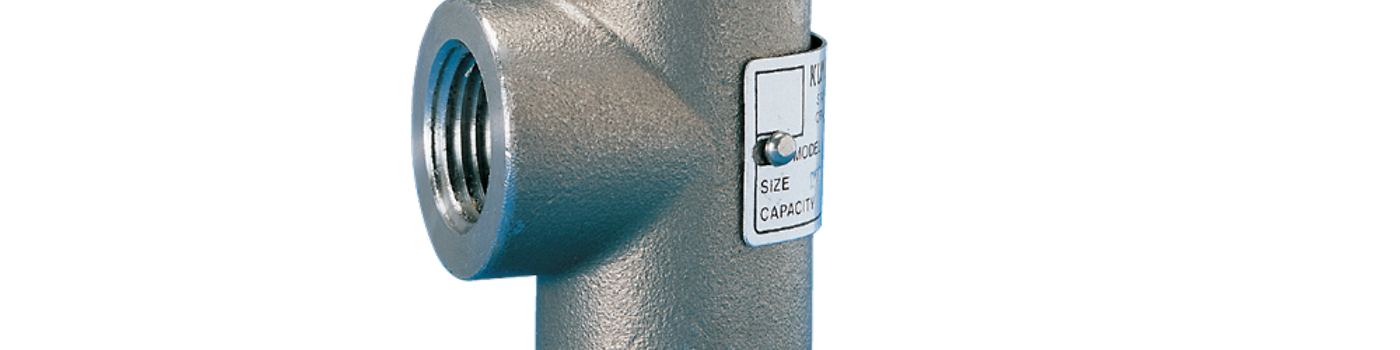 Model 140 Safety Relief Valves