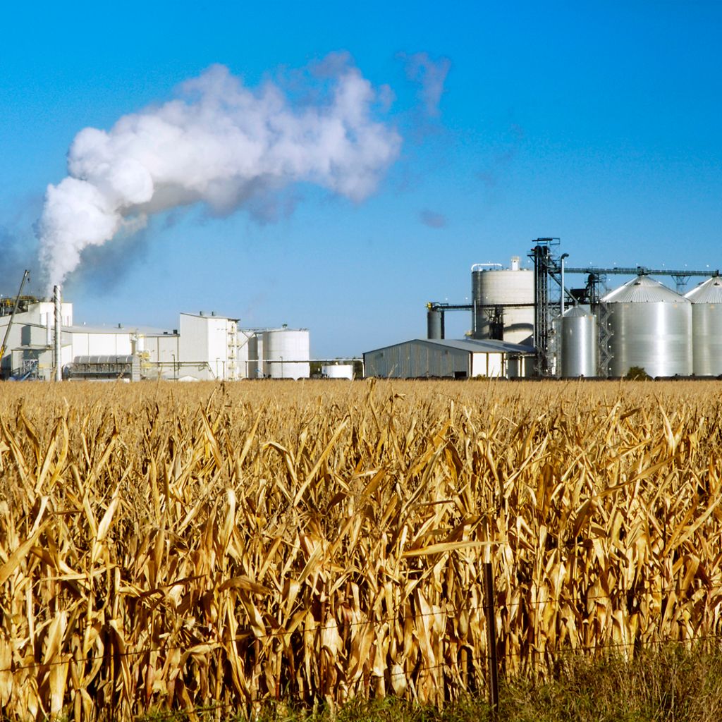 Ethanol plant