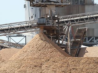 Virgin Pulp Mills