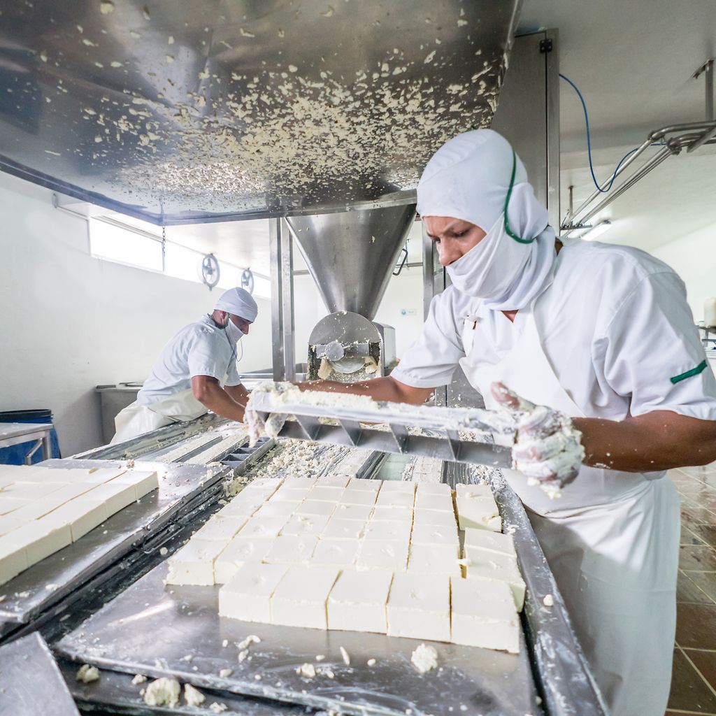 Cheese making