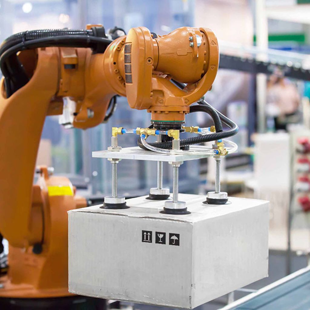 Robotic packaging arm