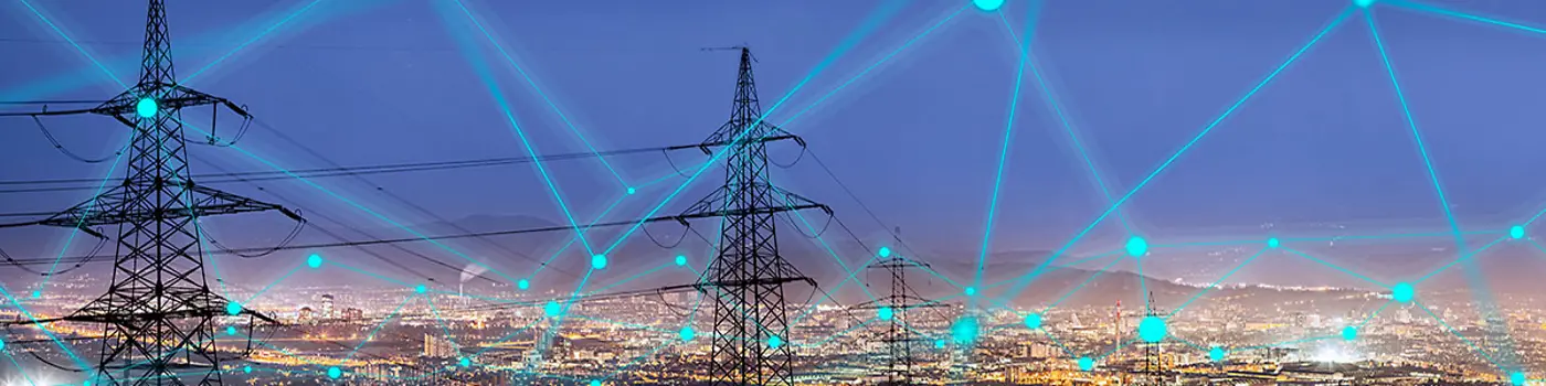 Sustainable Grid Solutions