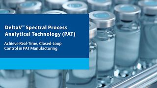 DeltaV™ Spectral Process Analytical Technology (PAT)