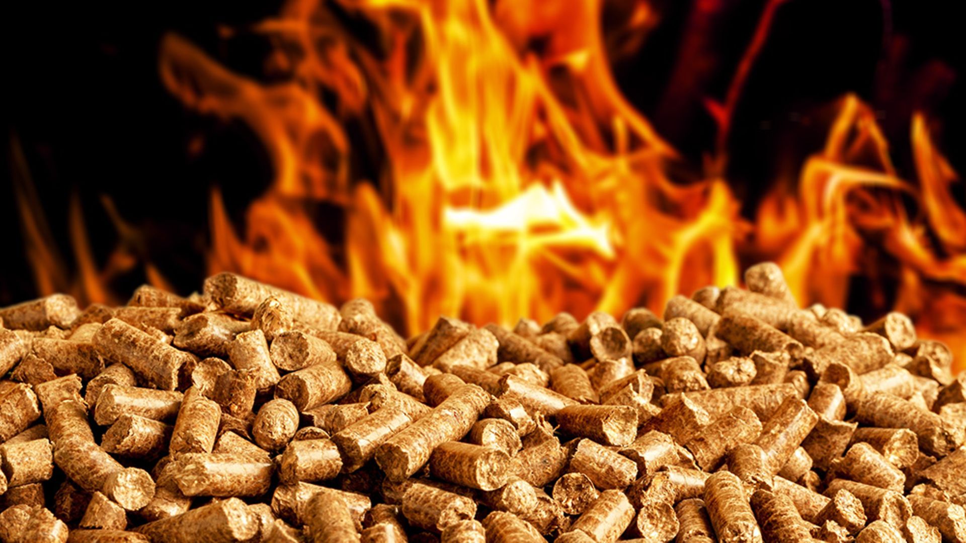 Biomass
