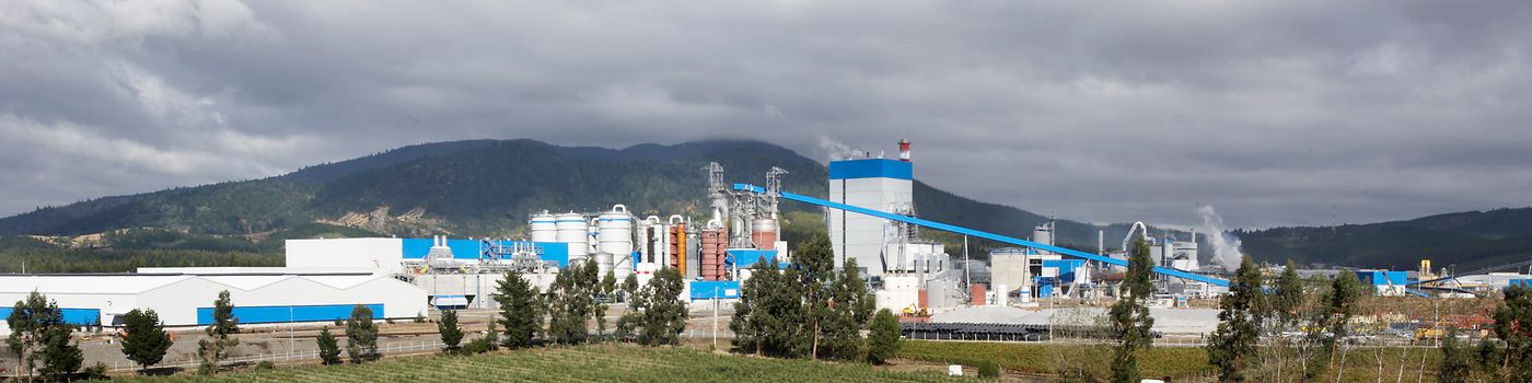 Industria cartaria