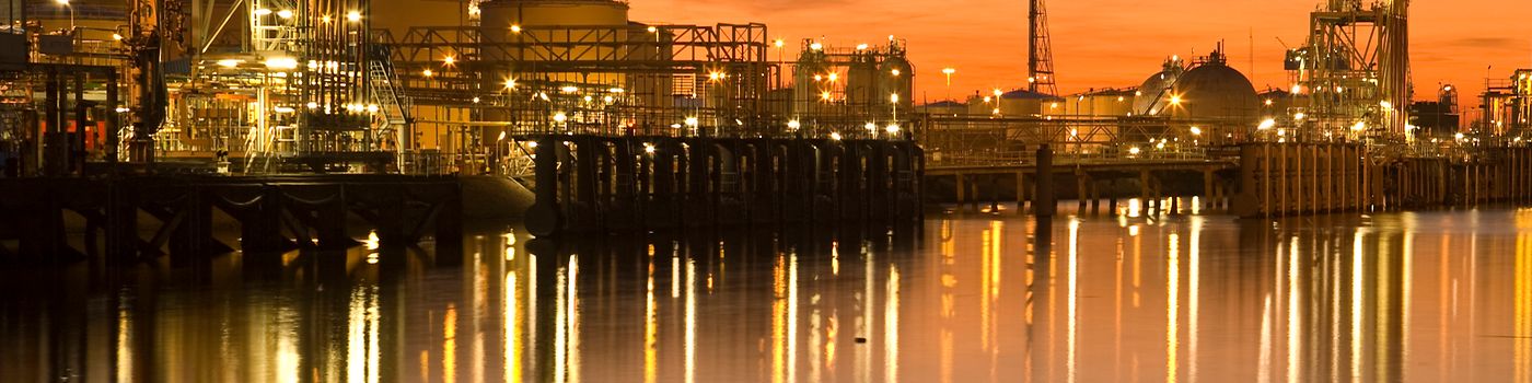 Pressure and Safety Relief Valves