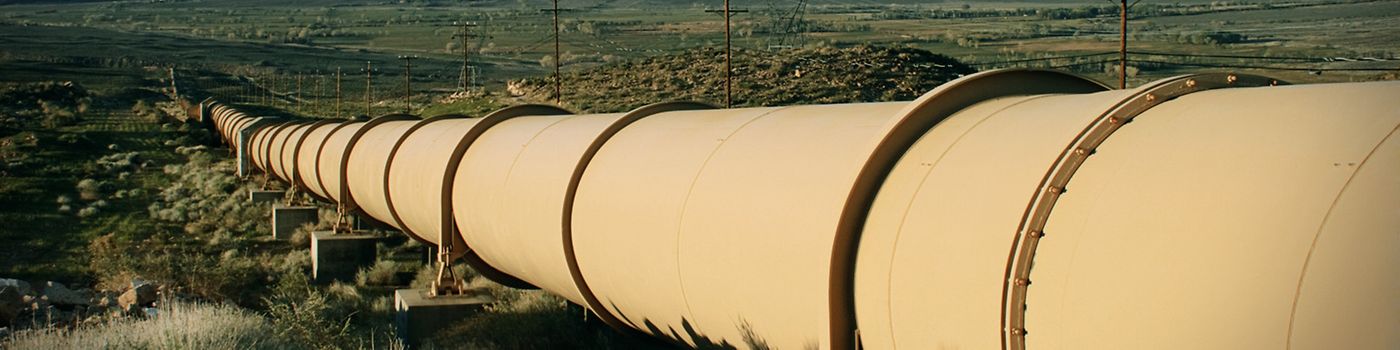 Informazioni sui gascromatografi per gas naturale