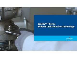 Beyond Safety: The Crosby ™ Bellows Leak Detection Solution ensures Balanced Operation